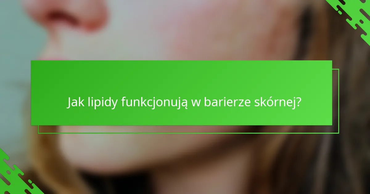 Jak lipidy funkcjonują w barierze skórnej?